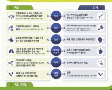 독감, 제대로 알고 대처하기 이미지