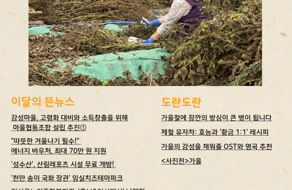 제 2호 The 뜬소식 게시물 첨부 이미지