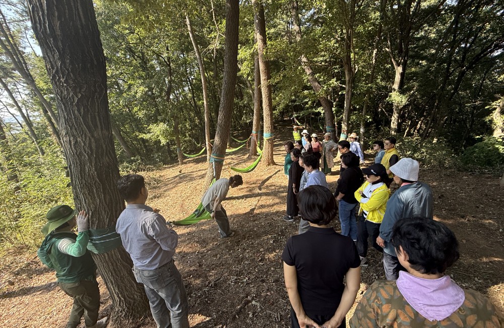 자원봉사지지프로그램 익산치유의 숲, 숲체험활동 게시물 첨부 이미지